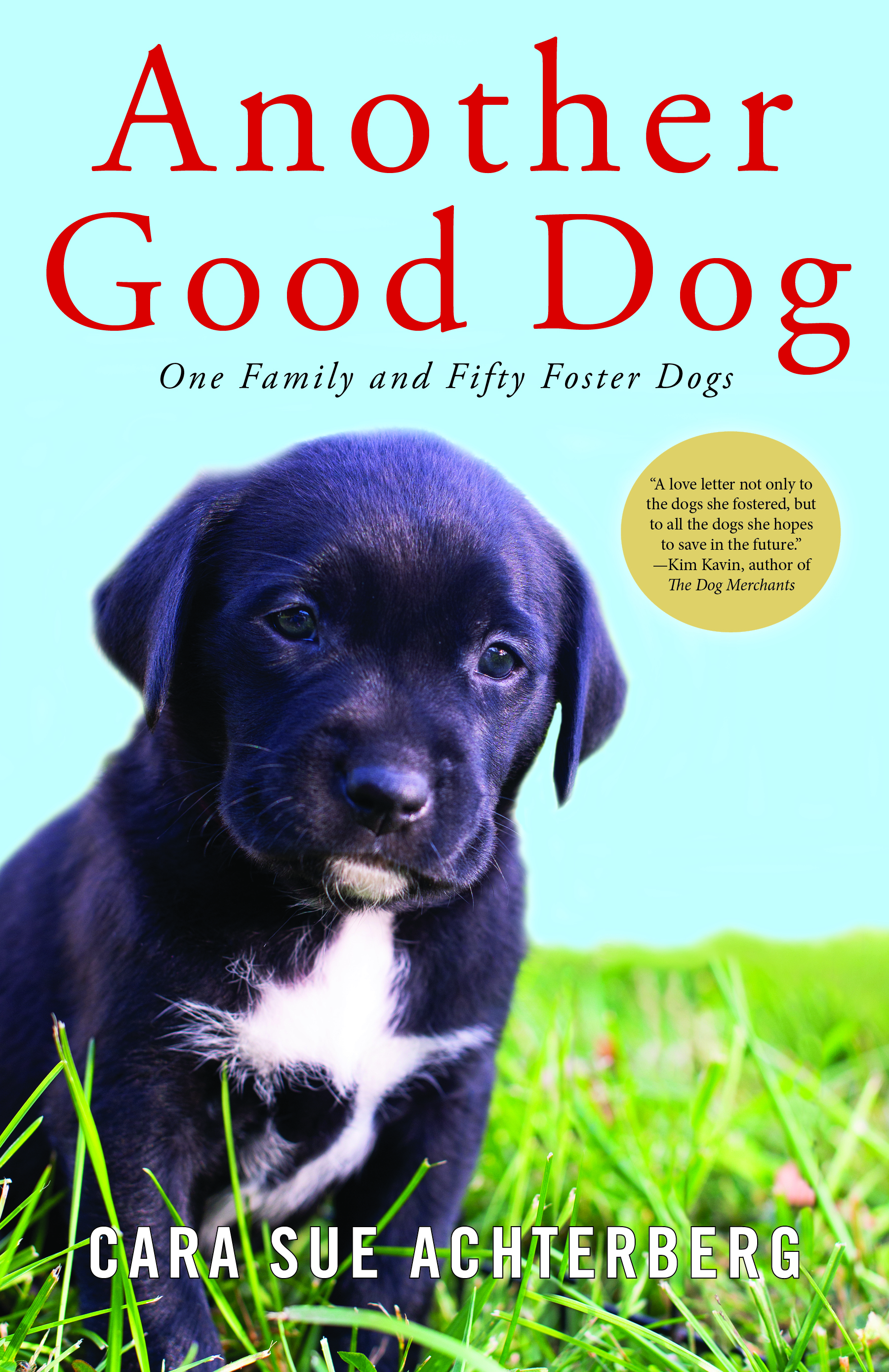 Another Good Dog cover.jpg