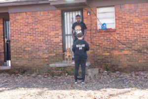 helping dogs in Memphis