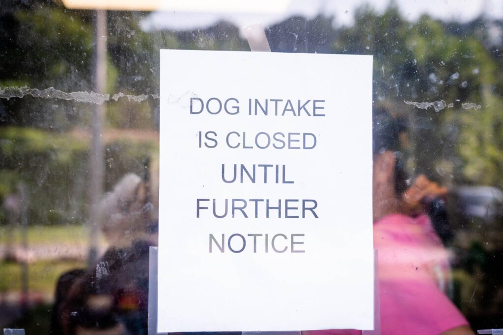 animal shelter closed to intake