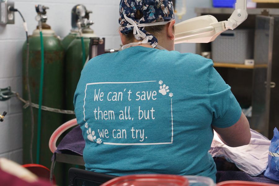 motto for Craven-Pamlico Animal Services shelter - We can't save them all, but we can try.