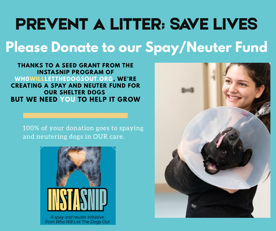 Insta-Snip spay and neuter fund
